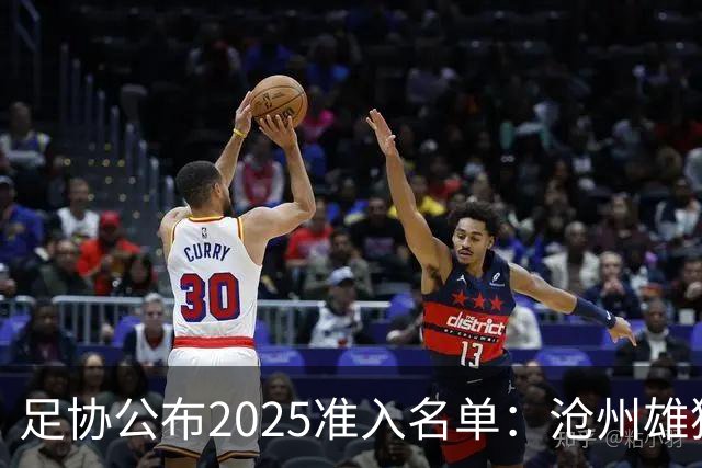 足协公布2025准入名单：沧州雄狮、广州队无缘